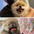 ちっぷ🤓&まるちねす🐶のアイコン