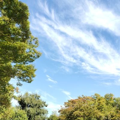 bn3C3WemoLvBnSt's profile picture. 