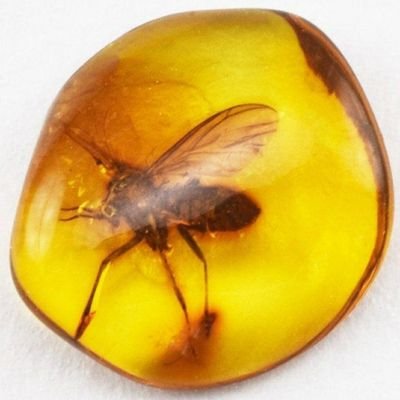 amnicom1's profile picture. Enjoying the simulation.