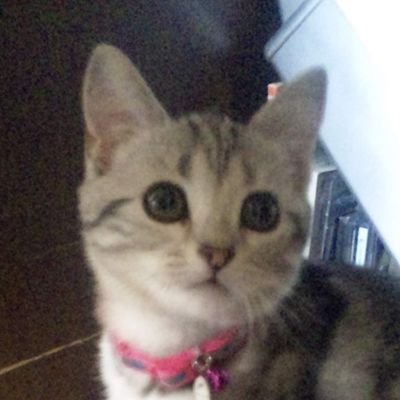 ツイッター初心者です。
失礼があったら申し訳ありません。
ふみくんのピアノが大好きです♫
ふみなーの皆さん仲よくして下さいね！よろしくお願いします✨🤗✨