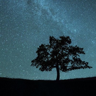 Arkham_Capital's profile picture. Musings on stocks, mental models and other interests. Value tilt.