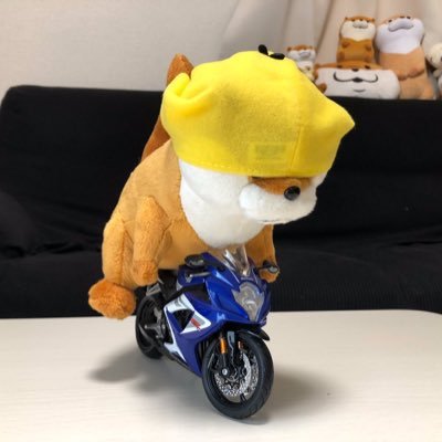 可愛い嘘のカワウソが大好きです🐥ぬんちゃんが好きな方々宜しくお願いだぬ🐣アイコンはぬーんライダーです🏍
