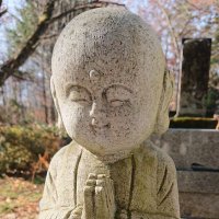 大地 石屋 字彫り職人 (@daichi_zihori) Twitter profile photo