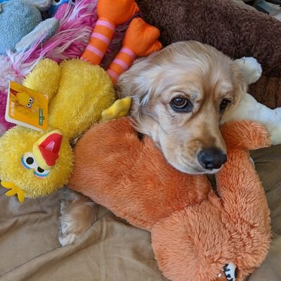 yopd1's profile picture. Jewish man with Parkinson's who has two kids and a wife.