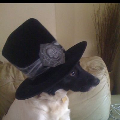 traceyhalpin70's profile picture. 