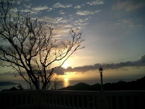 vtirado66's profile picture. 