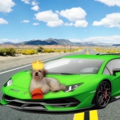 Roblox and call of duty mobile youtuber with over 1 K subs