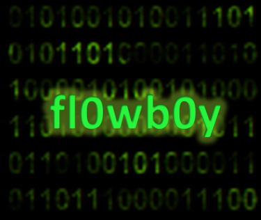 fl0wboy's profile picture. White Hat Hacker, busy with VB and Java, mySQL (injections) and DOS commands, HTML scripting!
