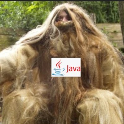 basaJavaun's profile picture. Programadora Java.