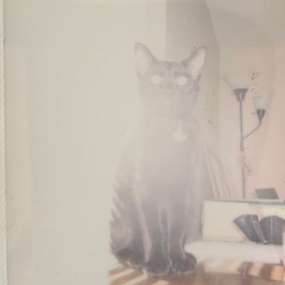 just_a_chuck's profile picture. shut The fuck up, COWARD