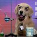 Prof_Talk (@prof_talk_utsa) Twitter profile photo Prof_Talk (@prof_talk_utsa) Twitter profile photo