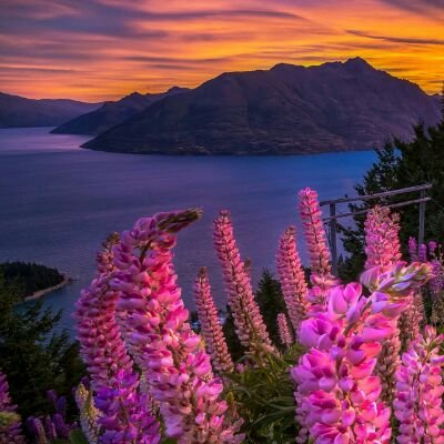 _Om_turki_'s profile picture. 