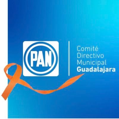 Comité Directivo Municipal PAN Guadalajara 2019-2021