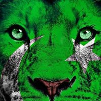 Ali Khan (@alikhan70121445) 's Twitter Profile Photo Ali Khan (@alikhan70121445) 's Twitter Profile Photo