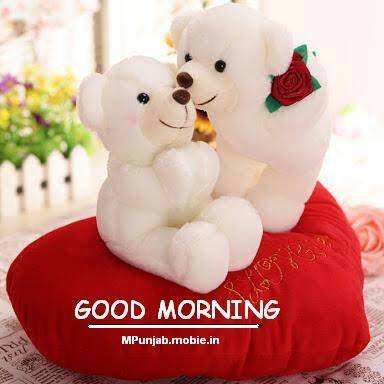 king_pabl's profile picture. Educative Gangster🍒