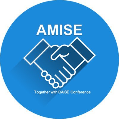 AMISE Profile