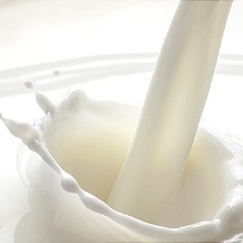 Milk20501998's profile picture. DRINK MILK. Thats my slogan