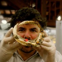 Michael Bunce (@buncedna) 's Twitter Profile Photo Michael Bunce (@buncedna) 's Twitter Profile Photo