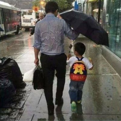 gomer39416779's profile picture. life is like a guitar you have to tune it.