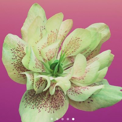 elmira_doc's profile picture. Бухгалтер