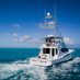 CatchinCaicos (@catchincaicos) Twitter profile photo CatchinCaicos (@catchincaicos) Twitter profile photo
