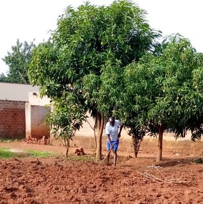 Acteur Politique cadre du parti politique Envol de la RDC 🇨🇩, dénonciateur des anti-valeurs, nationaliste, cultivateur 🌽🥜🥔🌶️🍅🥑🍐🍏🍋🤹