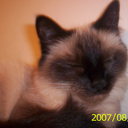 Nancy Prescott - @solargirl4 - Twitter