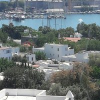 Can 007 (@ccanan007) 's Twitter Profile