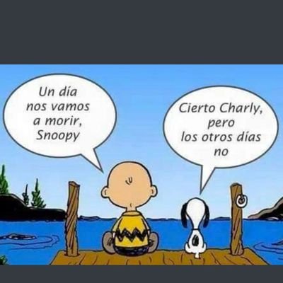 RastaSPariS's profile picture. ...loading...