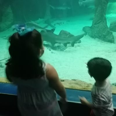 Daniberd's profile picture. 