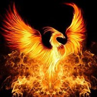 Phoenix (@phoenix___69) 's Twitter Profile Photo Phoenix (@phoenix___69) 's Twitter Profile Photo