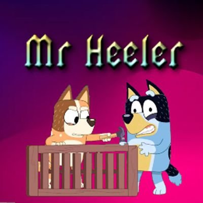 Mr Heeler 🐾さんのプロフィール画像