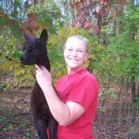 Linda Harrison (@faerietalefarm) 's Twitter Profile