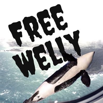 You can Never Leave.                                                       
The power of the bucket fountain compels you.
🌧️ 
Pure Evil
#FreeWelly
#EscapeWelly