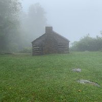 Happy gal (@milleramiej) 's Twitter Profile Photo