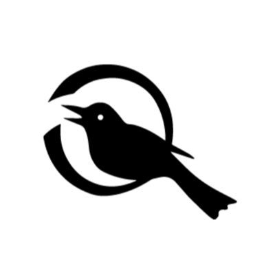 BlackbirdStrat's profile picture. Government, media, and public relations - and everything in between. Follow @lisakirbie, Blackbird founder, on her personal account, too.