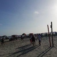 Andy (@andy86756432) 's Twitter Profile