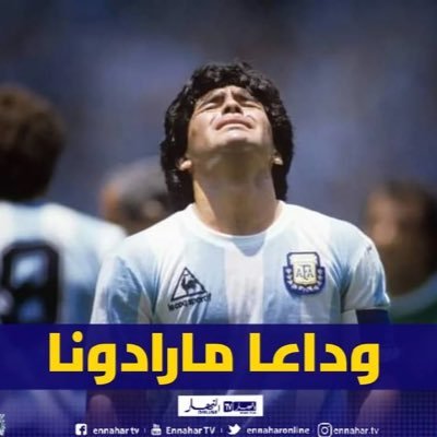 كما ينبت العشب بين مفاصل صخر......ولدنا 🇦🇹🇦🇹🇦🇹غريبين معًا ..... عاشق للزمالك 🇦🇹 وللنصر🇺🇦 والبافاري🇮🇩 وتشلسي🇪🇺 عسافي #Zamalek الهوى