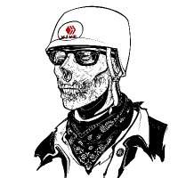 Kommienezuspadt (@kommienezuspadt) 's Twitter Profile