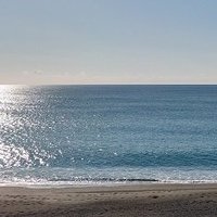 高知太郎 (@ycxzer1turf217d) Twitter profile photo