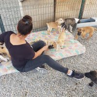 Nuran vural (@nuranvural7) 's Twitter Profile