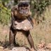 Stanley William Shantiwa (@stanshanti) Twitter profile photo Stanley William Shantiwa (@stanshanti) Twitter profile photo