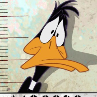 DespicablexDuck's profile picture. 