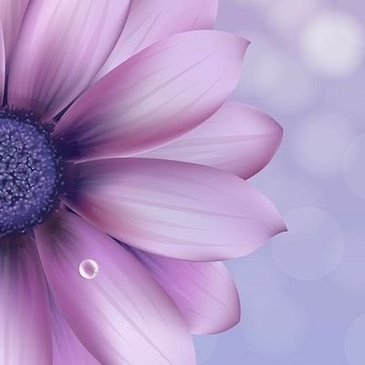 0tj78x5k389528k's profile picture. 韓ドラ大好き。基本雑食でKpop好き💕
色々呟きます。
フォローの際一言いただければ嬉しいです💕