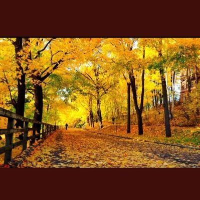 ecrensait's profile picture. 