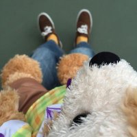 かーぴろ (@kawapiro_d) 's Twitter Profile