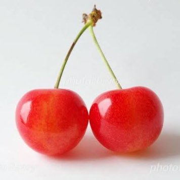 チェリまほが好きすぎて専用垢作りました🍒 町田沼初心者です🔰 いろいろ教えていただけると嬉しいです❤️ 無言フォロー失礼します💦 こちらは大歓迎です💕 かなり昔に成人済😆