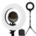 Ring Lights Australia (@ring_lights) Twitter profile photo Ring Lights Australia (@ring_lights) Twitter profile photo