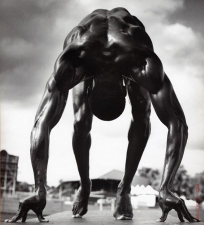 arnold_champ's profile picture. 