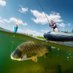 Fishing WW (@fishing_ww) Twitter profile photo Fishing WW (@fishing_ww) Twitter profile photo
